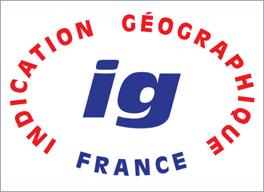 logo-ig_371