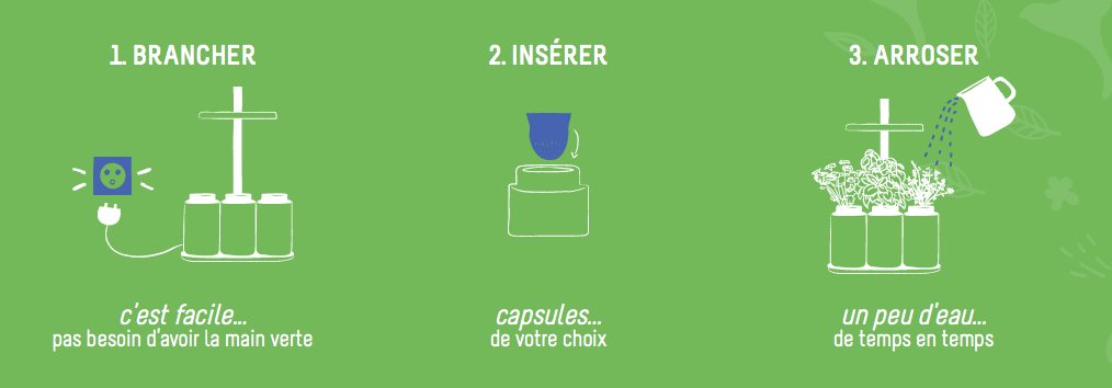 Avec Lilo, cultivez vos propres herbes aromatiques