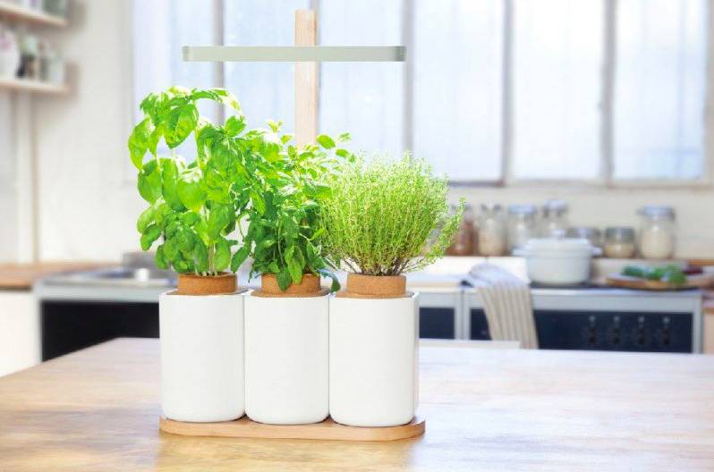 Lilo, potager d'intérieur made in France
