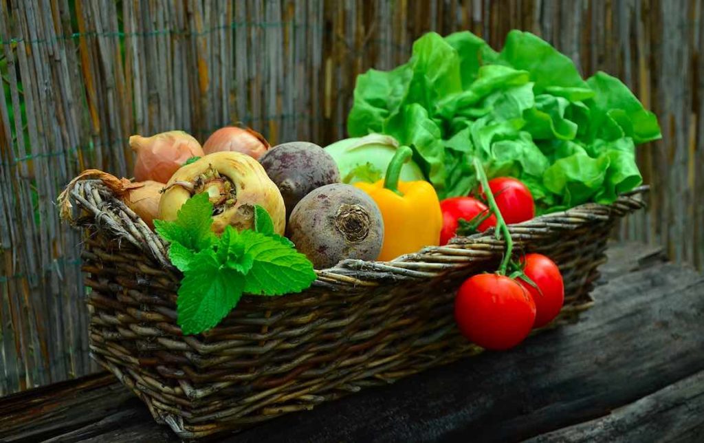 Faire son jardin ou entretenir ses jardinières sans devoir pour autant utiliser des produits phytosanitaires nocifs pour la santé et la nature. C'est possible grâce à monjardinbio.com, qui en outre commercialise une majorité de produits locaux.