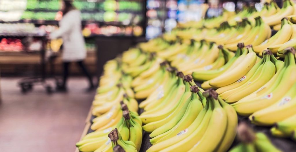 La maladie de Panama menace de détruire les plantations de bananes d'Amérique centrale et de Colombie.