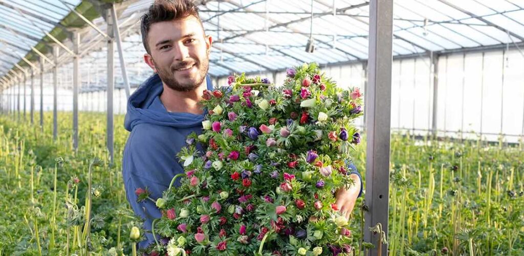 Monsieur Marguerite travaille uniquement avec des horticulteurs français.